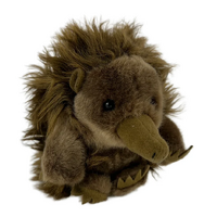 Bocchetta - Pickles Baby Echidna Plush Toy